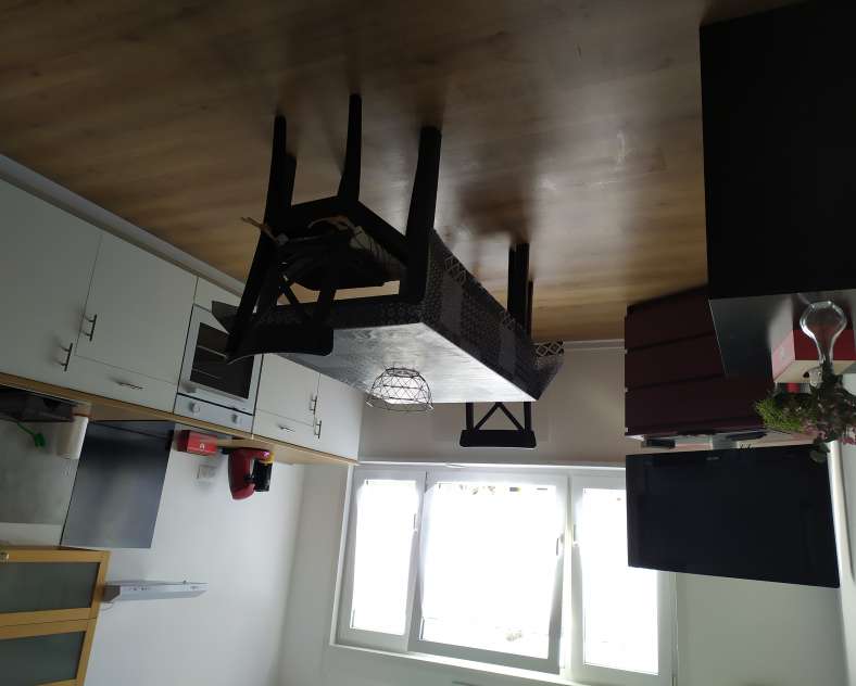 dr WIEMERT Studio Pivoine Wiemert