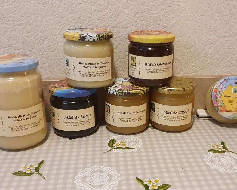 Dominique Zunino Les Ruches de Dom