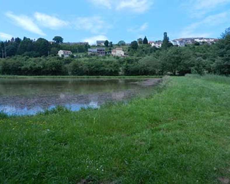 Association Culture et Patrimoine Circuit pédestre de Boust