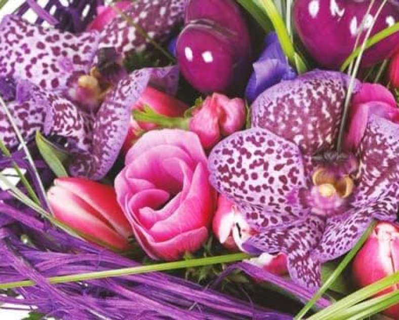 Lavandou Fleurs Lavandou Fleurs