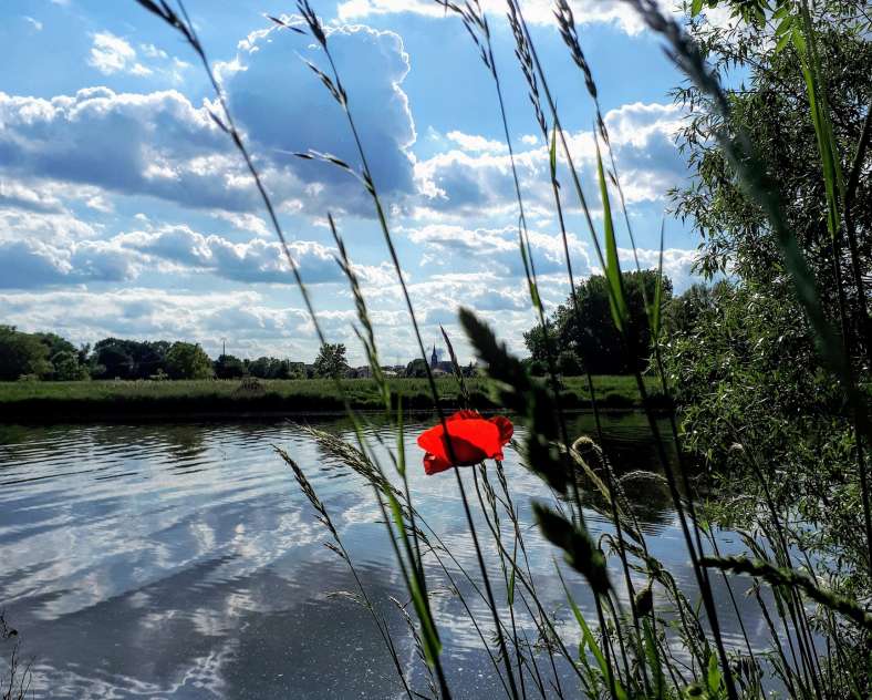 OT CCCE Sentier de Gavisse