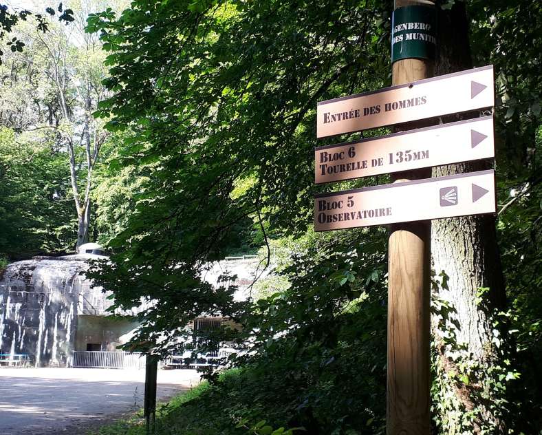 E. Cheli - CCCE Sentier Ligne Maginot