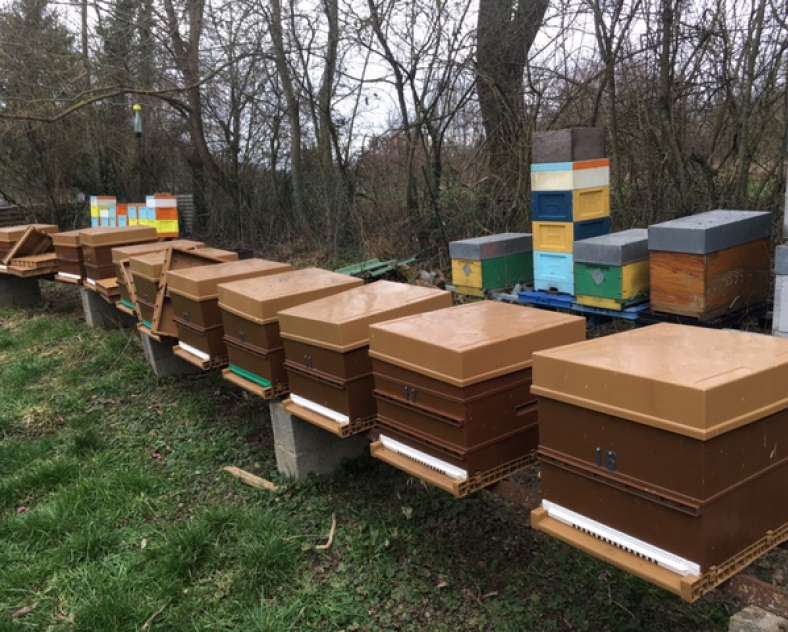 OT CCCE Le Rucher de Lolo