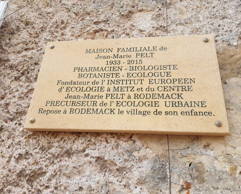 OT CCCE Sentier Jean-Marie Pelt - Boucle familiale