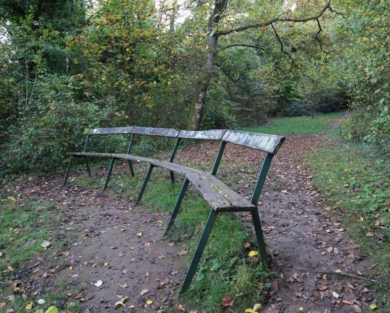 Commune de Plappeville Les pelouses calcaires de la Taye aux Vaches