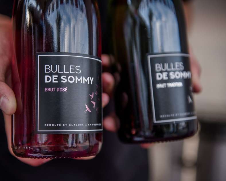 DOMAINE SOMMY