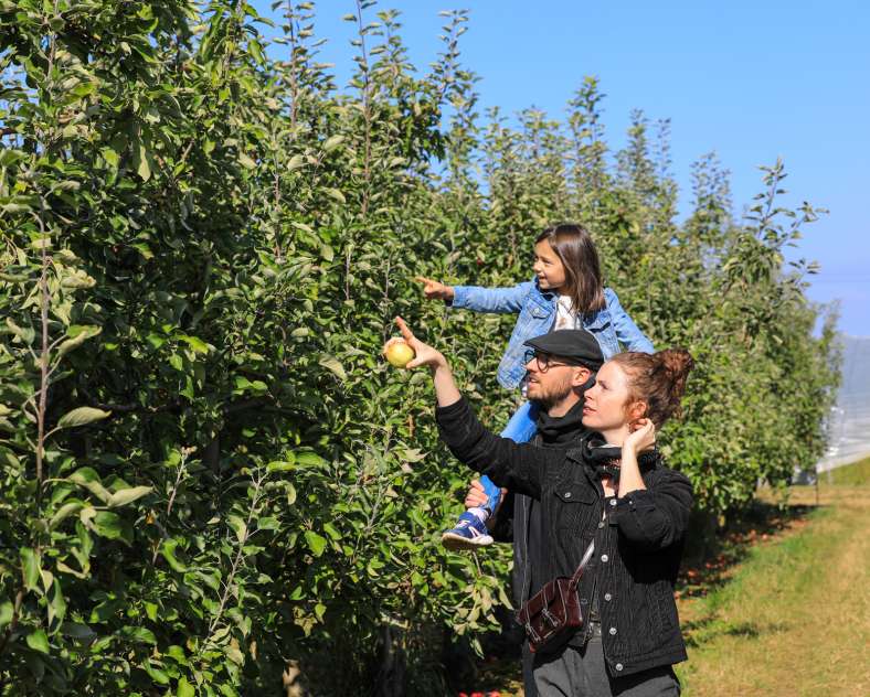 Studio Hussenot Cueillette de Peltre