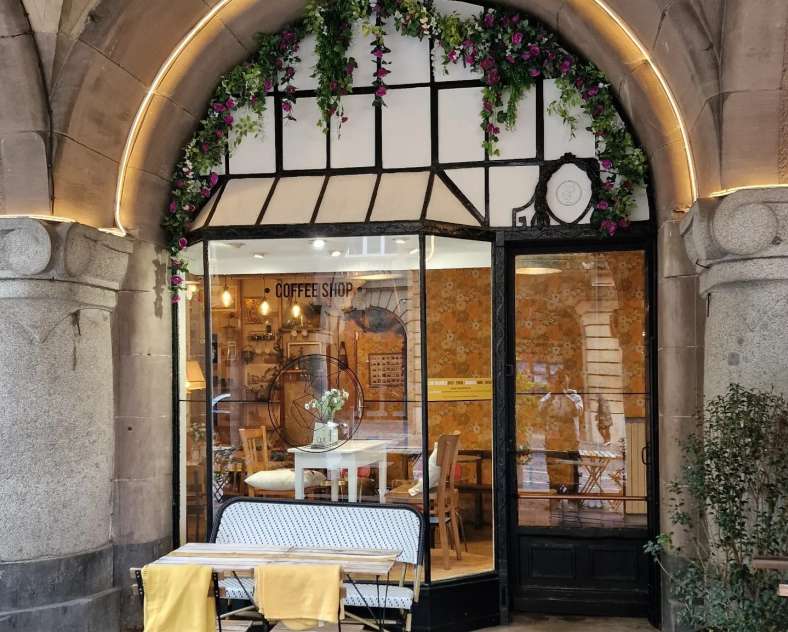 Fox Coffee Metz Fox coffee