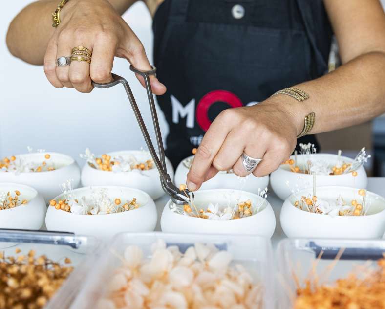 Laetitia Lhermite  La Petite Étincelle