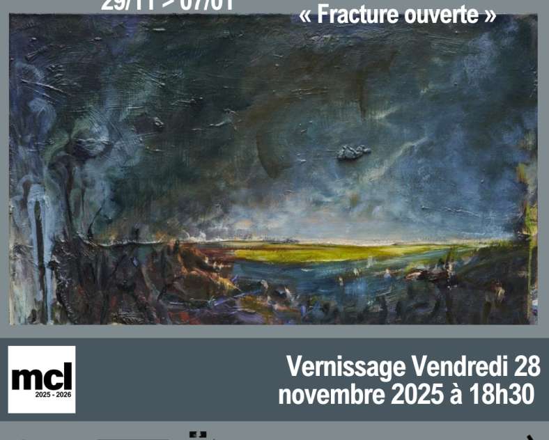 DR - source Ville de Metz Exposition - Johannes Felder, fracture ouverte »