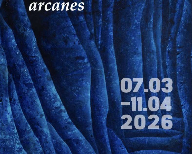 DR - source Ville de Metz Exposition "Arcanes"