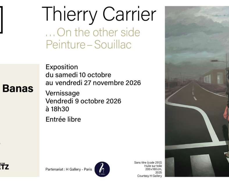DR - source Ville de Metz Exposition - Thierry Carrier « ... On the other side »