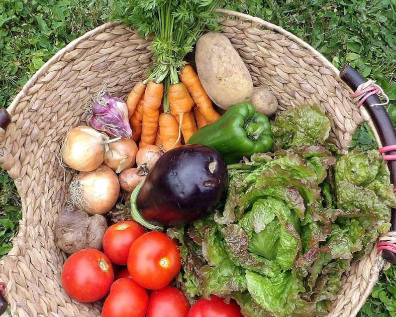 Les Jardins de Guenviller Les jardins de Guenviller