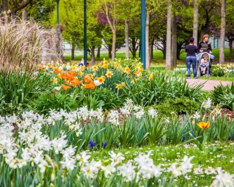 Ville de Thionville Sentier de découverte du Beerenweg