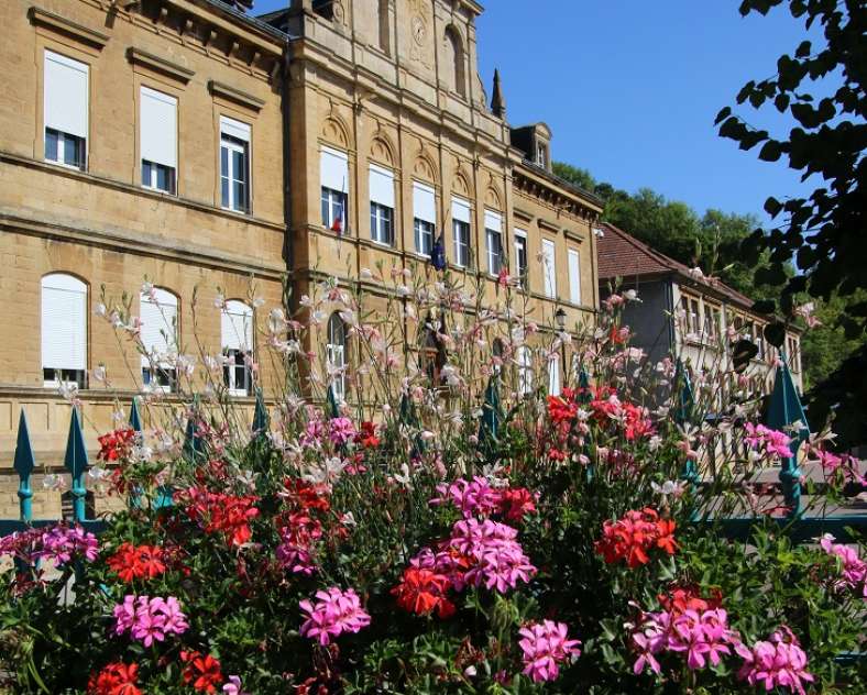 Dominique Steinmetz Circuit du bois de la dame