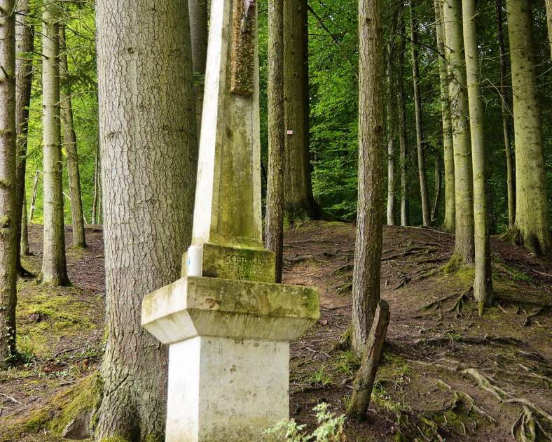 RL  Promenade linéaire Thionville - Bellevue