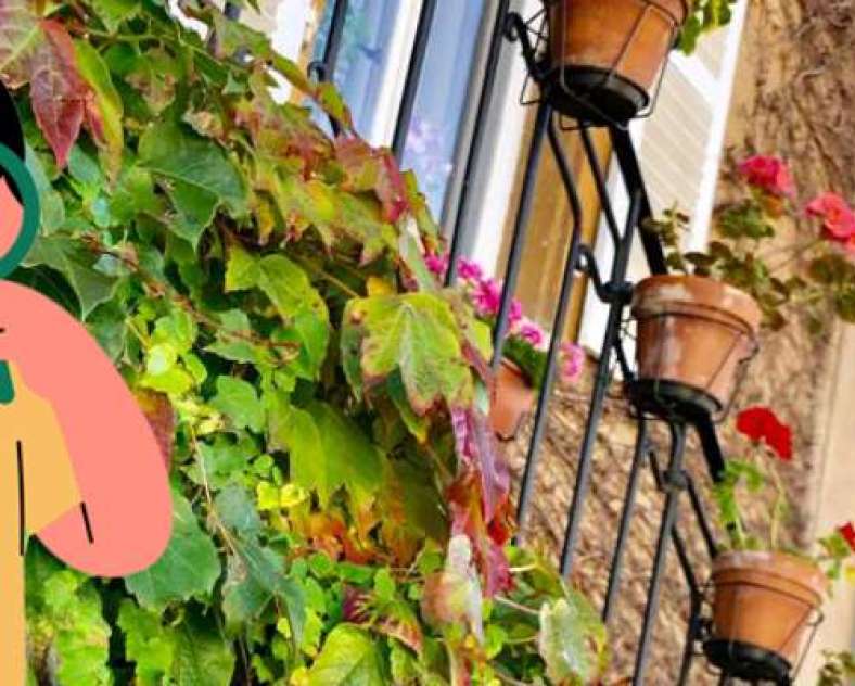 Julien Frantz  Théodon sur les traces des vignerons