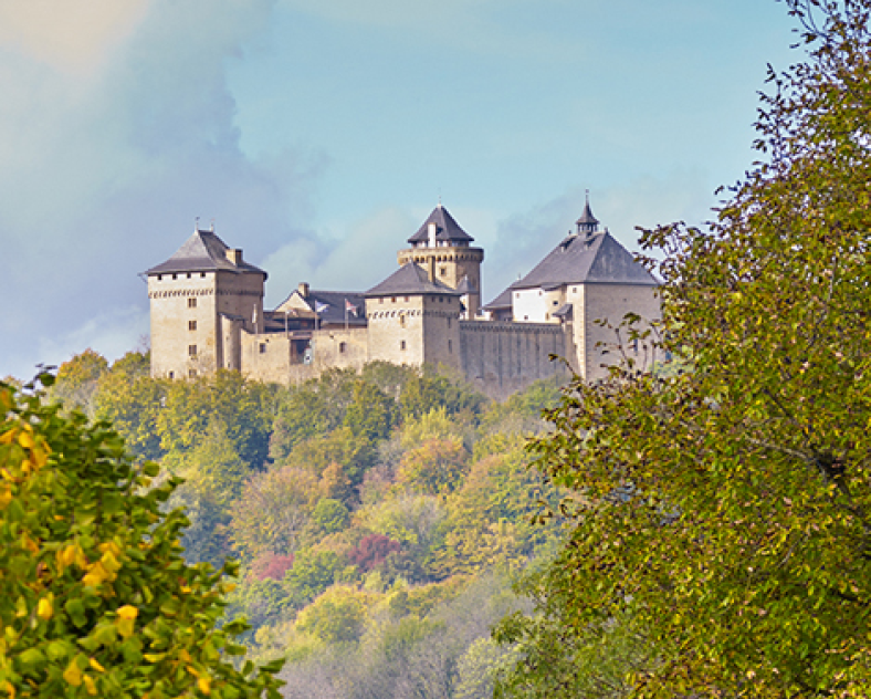 Rémi Villagi, Château de Malbrouck, Le Département de la Moselle © tous droits réservés Château de Malbrouck