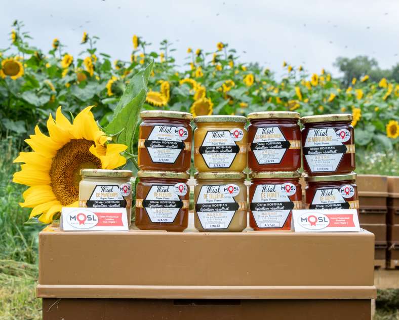 Les photos de Véro  Le rucher d'olivier