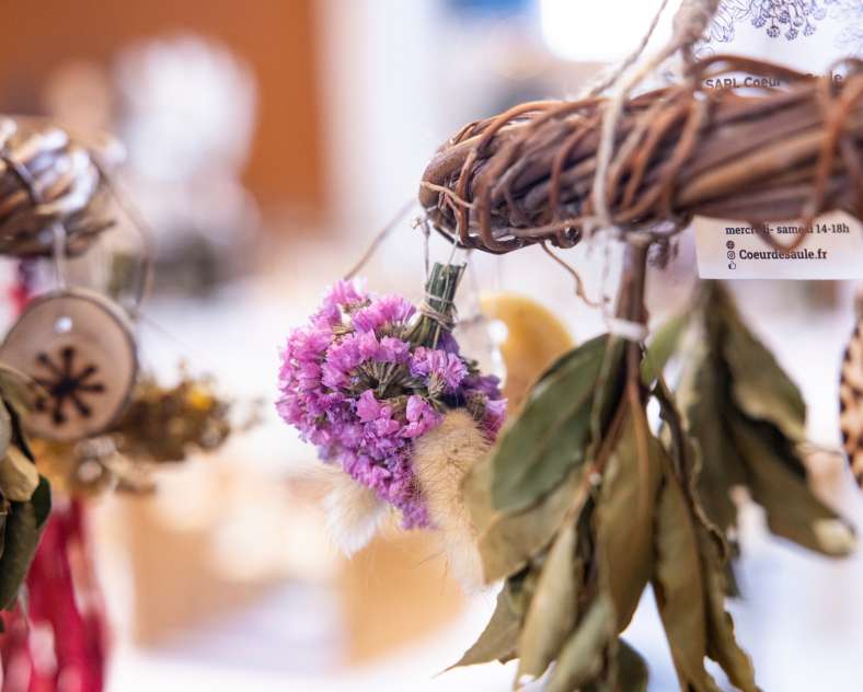 Emilie MASSON Coeur de saule