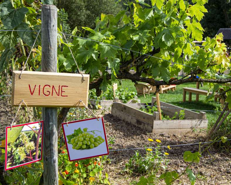 Julie Moritz - Trois Frontières Tourisme La campagne du pony ranch