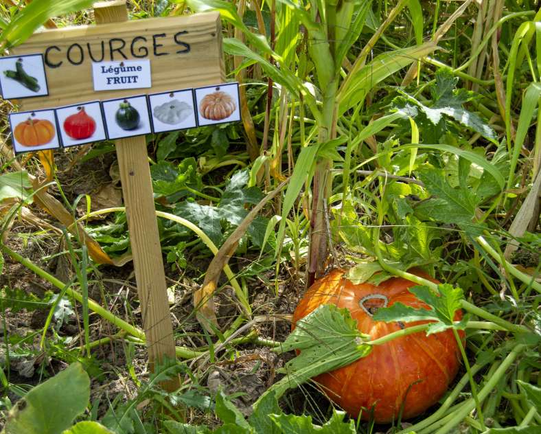 Julie Moritz - Trois Frontières Tourisme La campagne du pony ranch