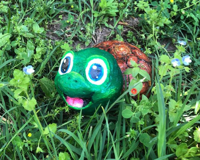 Petite Tortue Petite tortue