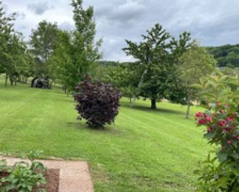 David LEBAN Chambre d'hôtes David Leban