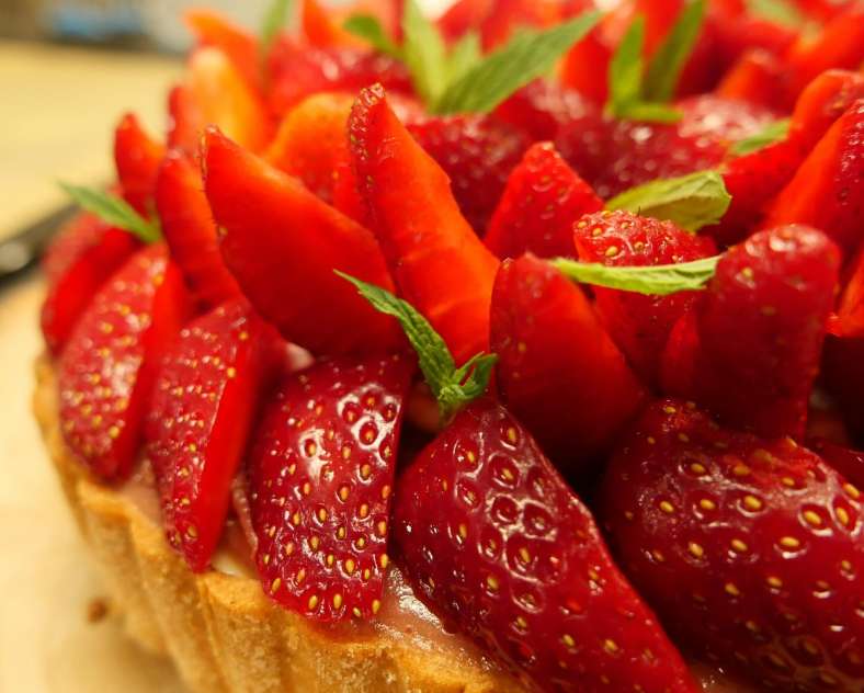 Globe-Traiteurs
Château de Malbrouck  Salon de Thé / Bar La taverne du Château de Malbrouck