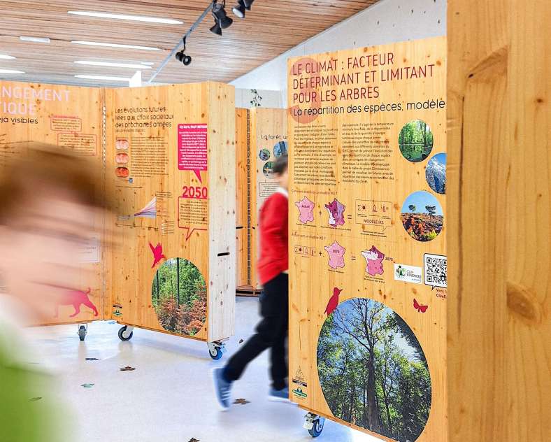 Jeannette Kiren - Trois Frontières Tourisme Exposition - Les forêts du Grand Est à l'épreuve du changement climatique