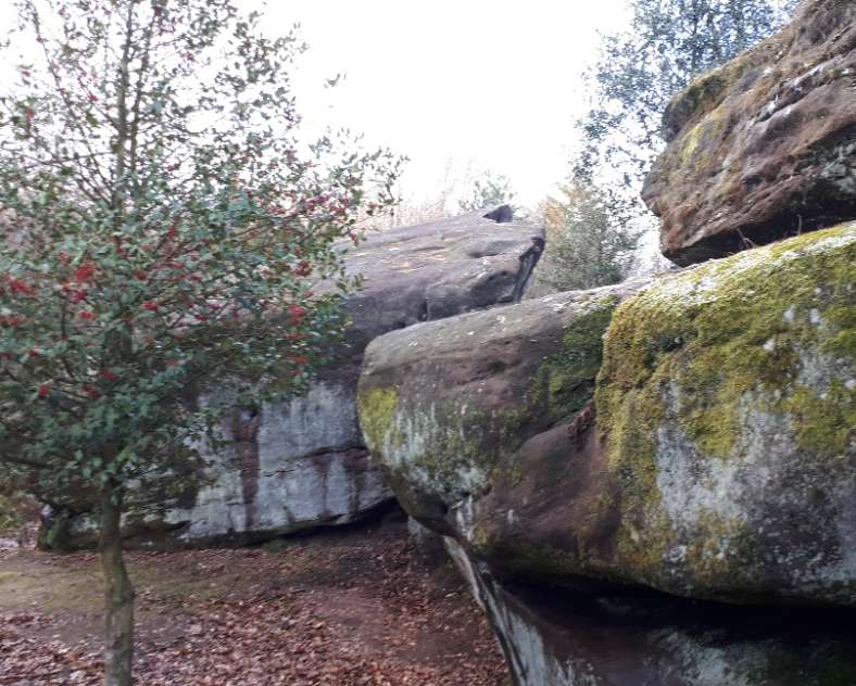 Pays de Phalsbourg Tourisme Escalade au Rocher Lorenzo