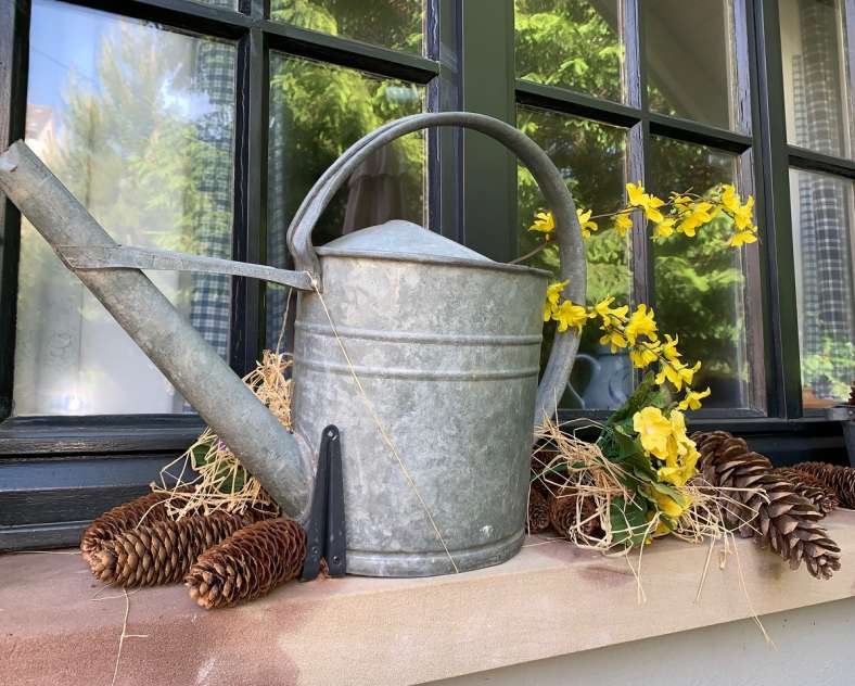 Valérie SARRBACH Meublé de tourisme Les Glycines