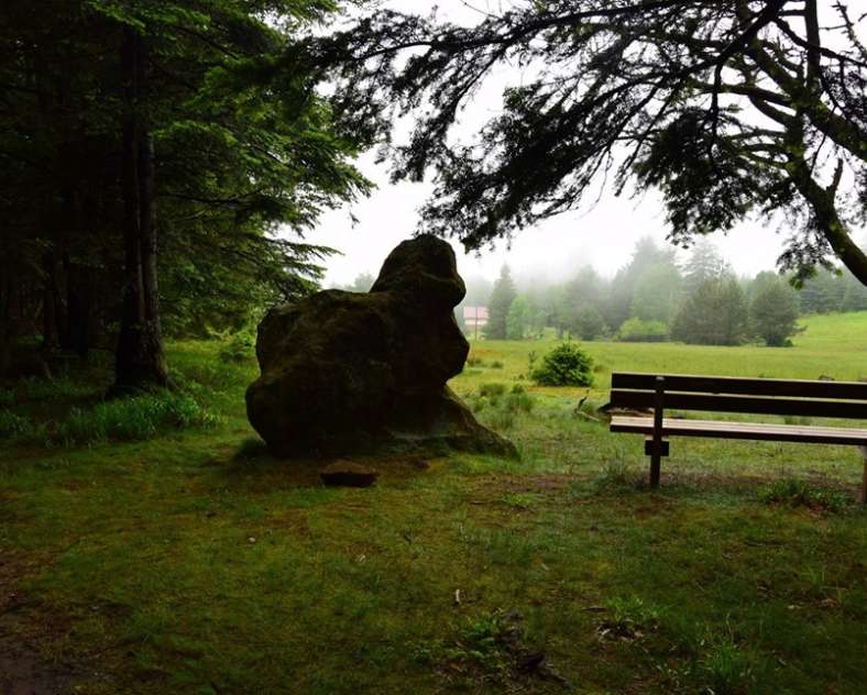 Randoalsacevosges Rocher du Hengst