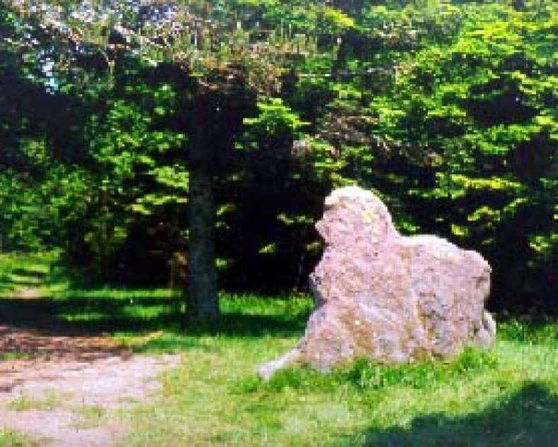 otipp Rocher du Hengst