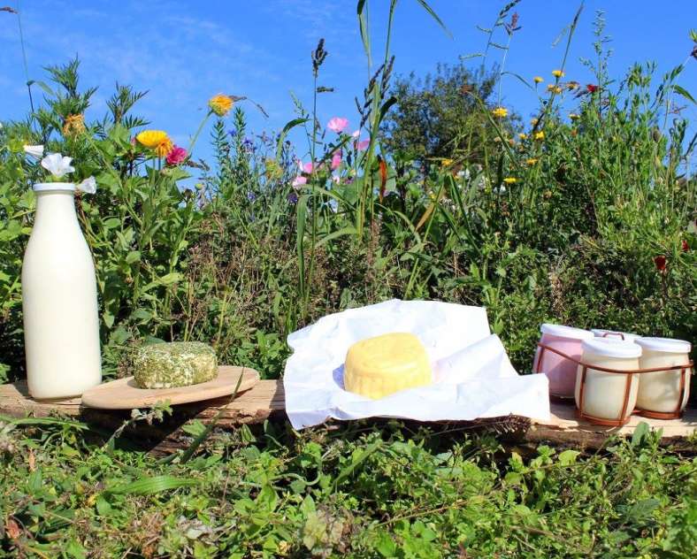 ferme WILL Ferme Will