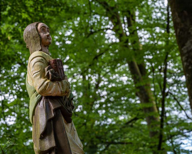 P. BUCHER Circuit la chapelle Saint-Fridolin et la grotte des francs tireurs