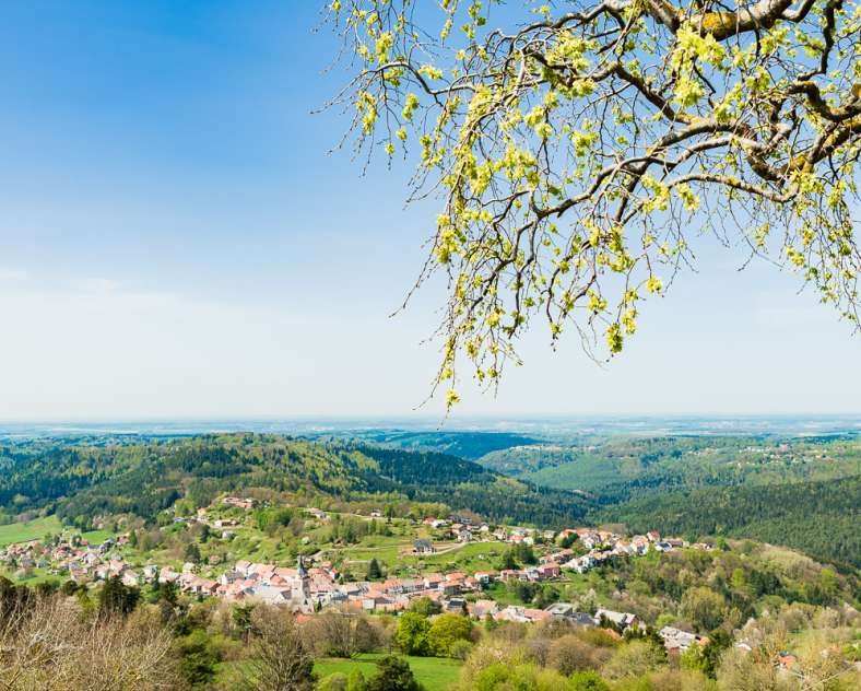 Patrice BUCHER  Circuit la Hoube et le Geissfels Ochsenstein