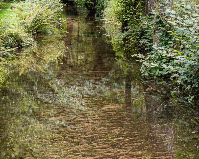 Patrice BUCHER Circuit sur les versants de la rivière Zorn entre Harreberg et Dabo