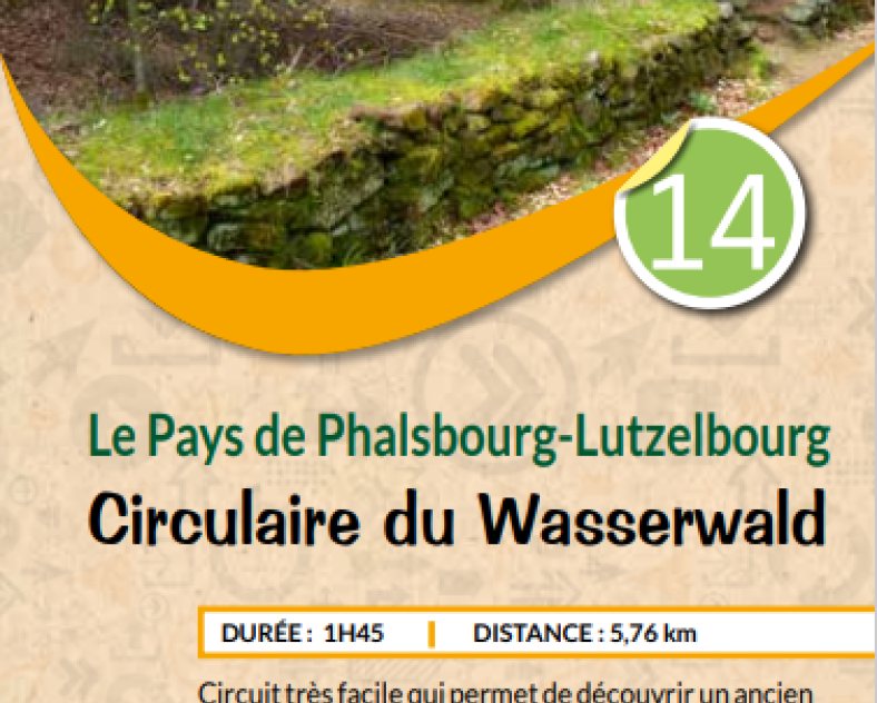 PETR Circulaire du Wasserwald