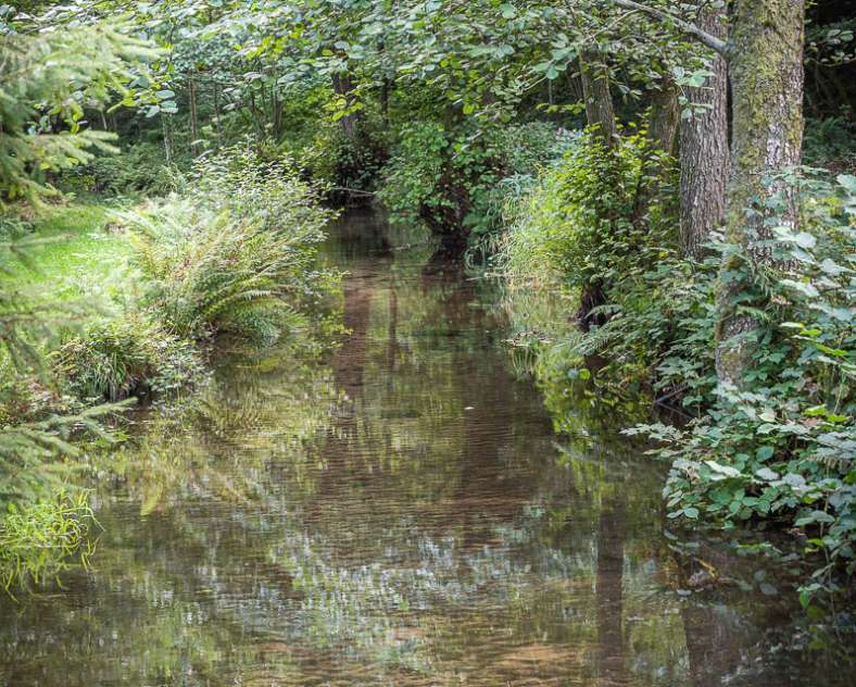 Patrice BUCHER Circuit vélo les sommets de la Moselle