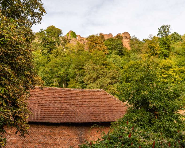 Patrice BUCHER Escapade vélo au château de Lutzelbourg