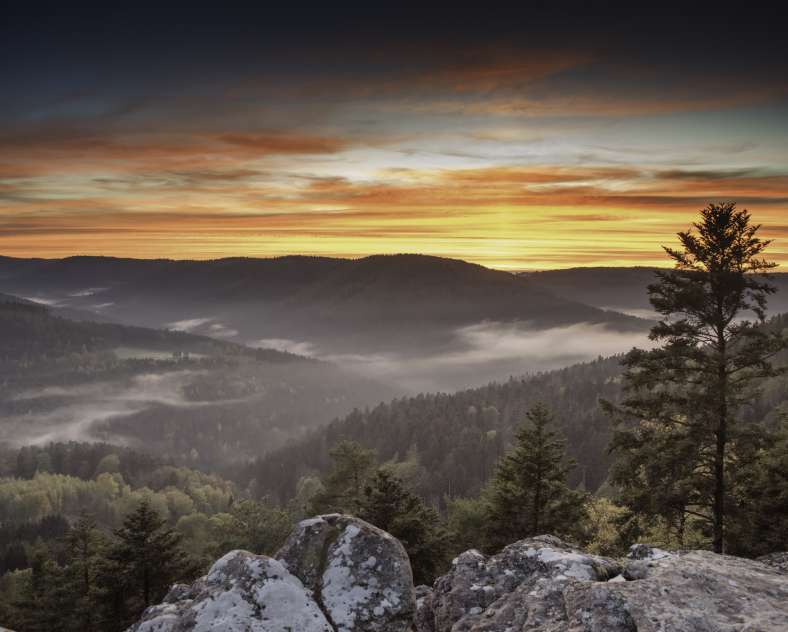 Marc ALBRECHT Gîte la Loge du Pic Noir