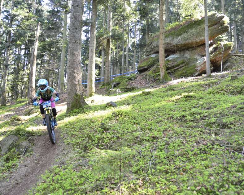 Marc ALBRECHT Gîte la Loge du Pic Noir