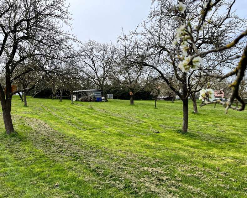 La Maison de Lilly  Meublé La Maison de Lilly