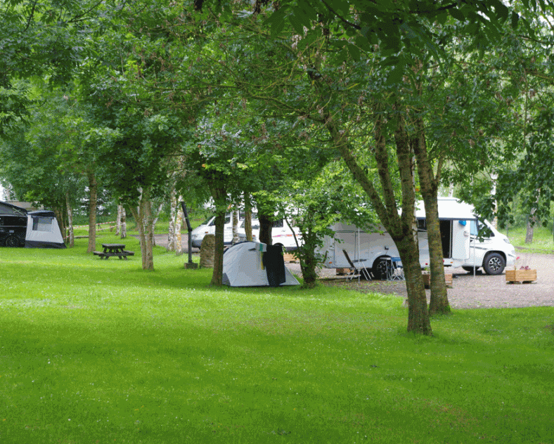 WALZER Jean-Pierre - SI Gondrexange Camping les Mouettes