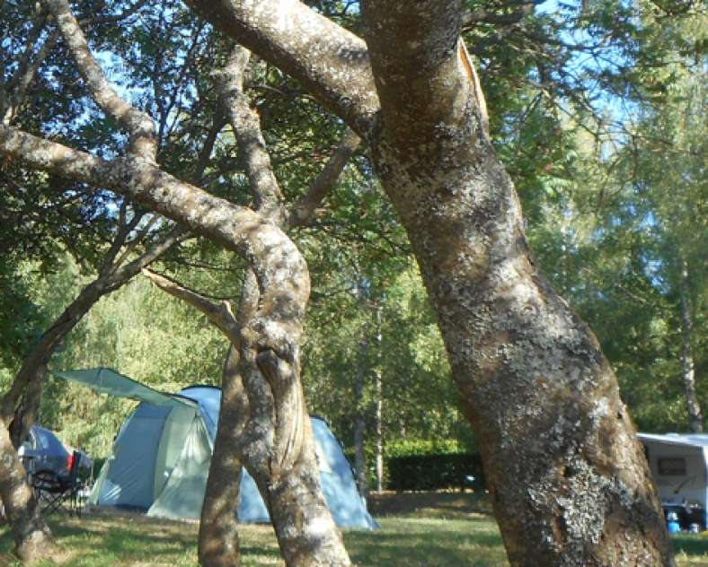 Laurent Machet  Camping municipal