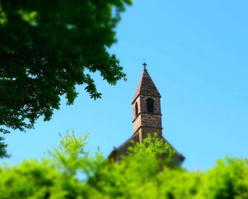 Thierry Janson  Camping municipal