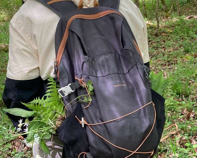 I. Girard Maison du Clément