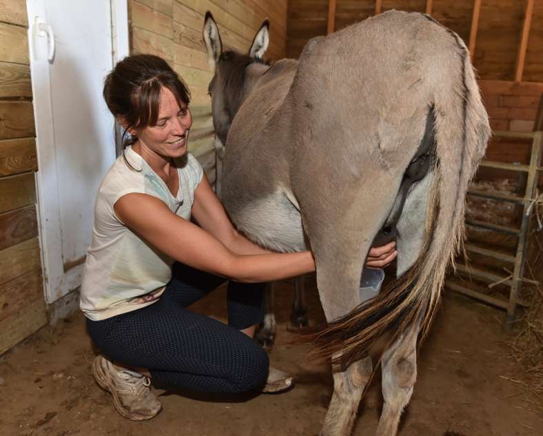 soins-lait-anesse.com  Mosell'âne