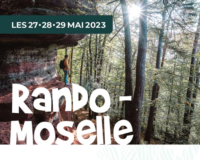RANDO-MOSELLE : HISTOIRE ET ORGUE
